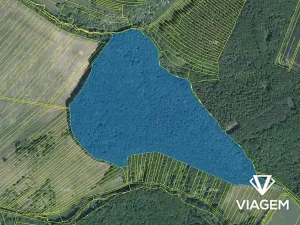 Prodej podílu lesa, Pašovice, 28955 m2