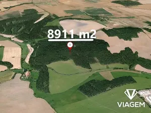 Prodej podílu lesa, Koloveč, 2599 m2