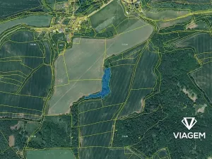 Prodej lesa, Lubenec, 7495 m2