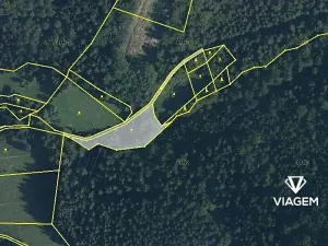 Prodej podílu lesa, Halenkov, 363 m2