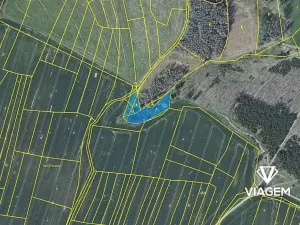 Prodej podílu lesa, Radošovice, 683 m2