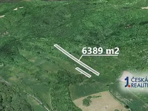 Prodej podílu lesa, Zubrnice, 2835 m2