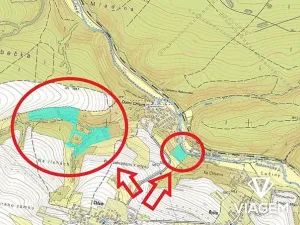 Prodej podílu lesa, Chlum, 8736 m2