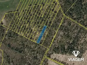 Prodej lesa, Borkovice, 1472 m2