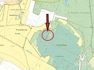 Prodej lesa, Borkovice, 1472 m2