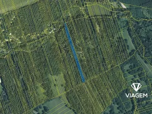 Prodej podílu lesa, Kněždub, 3060 m2