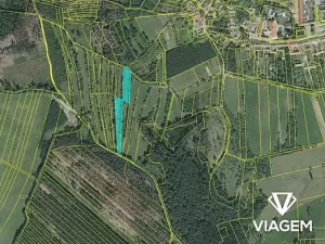 Prodej louky, Borotín, 2410 m2