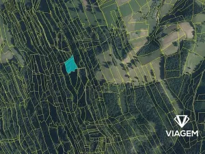 Prodej podílu lesa, Nový Hrozenkov, 879 m2