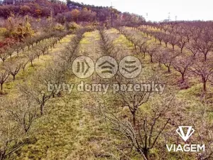 Prodej podílu pole, Roudnice nad Labem, 2009 m2