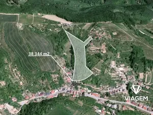 Prodej podílu lesa, Košíky, 6802 m2