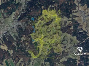 Prodej podílu lesa, Luhačovice, 8215 m2