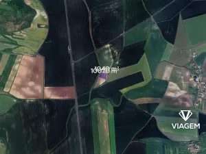 Prodej podílu pole, Bělušice, 1388 m2