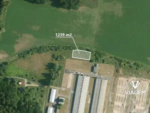 Prodej pole, Lipec, 1239 m2