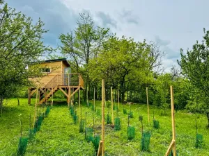 Prodej chaty, Blučina, 30 m2