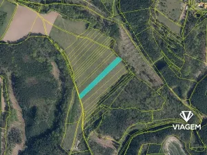 Prodej podílu pole, Nosálov, 2172 m2