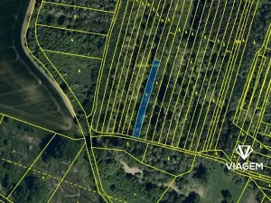 Prodej lesa, Hovorany, 1274 m2