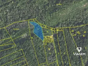 Prodej lesa, Loděnice, 2464 m2