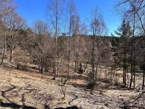 Prodej pozemku pro bydlení, Nejdek, 1008 m2