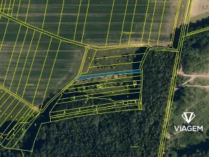 Prodej zahrady, Vrbka, 1195 m2