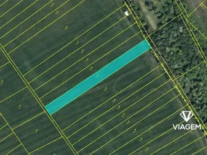 Prodej pole, Žiželice, 2136 m2