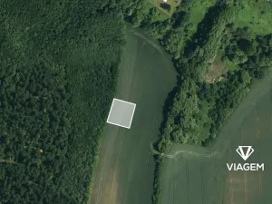 Prodej pole, Kyjov, 1596 m2