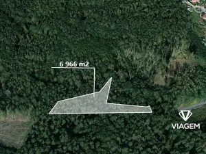 Prodej podílu lesa, Dašice, 3483 m2