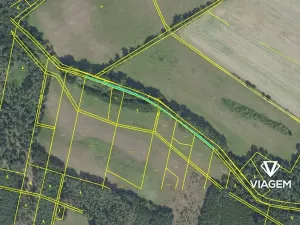 Prodej podílu lesa, Sokoleč, 1999 m2