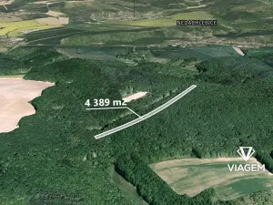 Prodej podílu lesa, Mistřice, 1097 m2