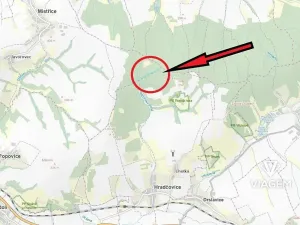 Prodej podílu lesa, Mistřice, 1097 m2