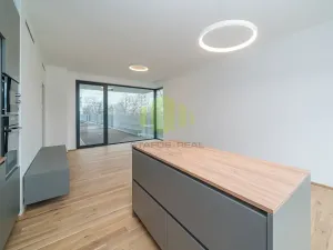 Pronájem bytu 3+kk, Olomouc, Ostrovní, 94 m2