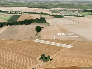 Prodej podílu pole, Dolní Životice, 1083 m2