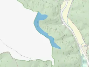 Prodej podílu lesa, Kokořín, 7736 m2