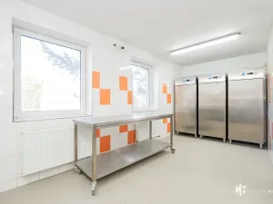 Pronájem výrobních prostor, Zlonín, Hlavní, 50 m2