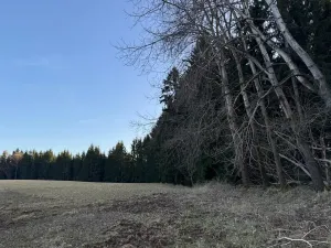 Prodej podílu lesa, Stará Paka, 4610 m2