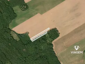 Prodej pole, Ptice, 2877 m2