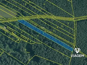 Prodej podílu lesa, Drahov, 2032 m2
