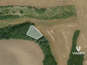 Prodej pole, Zbrašín, 1578 m2
