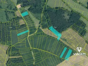 Prodej podílu pole, Nekvasovy, 4247 m2