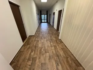 Pronájem ordinace, Ostrava, Pavlovova, 50 m2