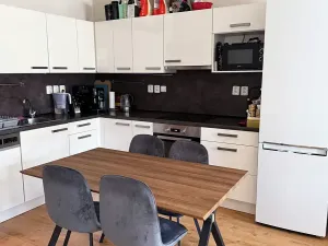 Pronájem bytu 2+kk, Brno, Přadlácká, 56 m2