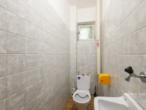 Prodej vícegeneračního domu, Praha - Záběhlice, Střemchová, 348 m2