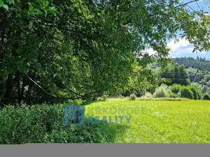 Prodej louky, Trutnov - Babí, 68585 m2