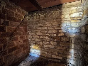 Prodej chaty, Vysoké Mýto, Vinice, 17 m2