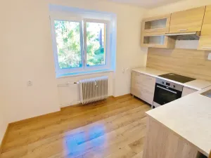 Pronájem bytu 1+1, Teplice, Ruská, 27 m2