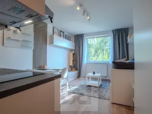 Pronájem bytu 1+kk, Praha - Vršovice, Kubánské náměstí, 19 m2