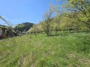 Prodej pozemku pro bydlení, Štěpánov nad Svratkou, 3802 m2