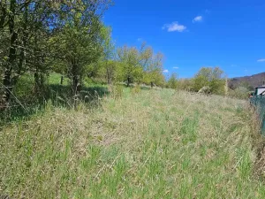 Prodej pozemku pro bydlení, Štěpánov nad Svratkou, 3802 m2