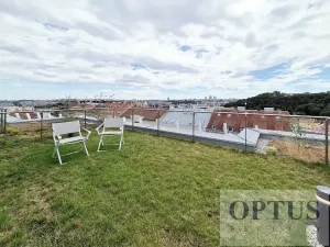 Pronájem bytu 5+kk, Praha - Smíchov, Holečkova, 212 m2