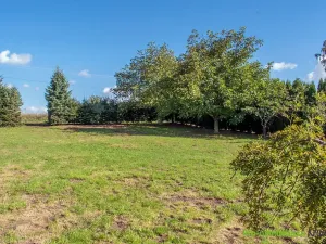 Prodej pozemku pro bydlení, Spálené Poříčí, 4447 m2