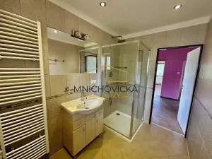 Prodej rodinného domu, Velké Popovice, Na Dlaskově, 180 m2